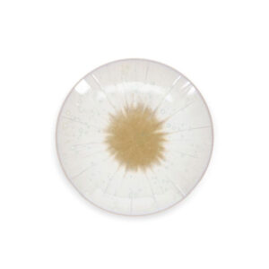 Flat tallrik 180mm White Eclipse S&P