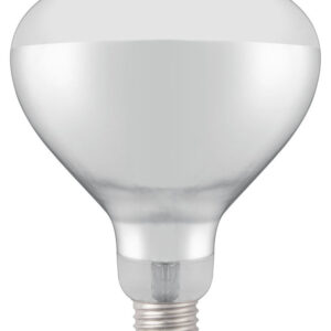 Infraröd lampa VIT 250w härd.